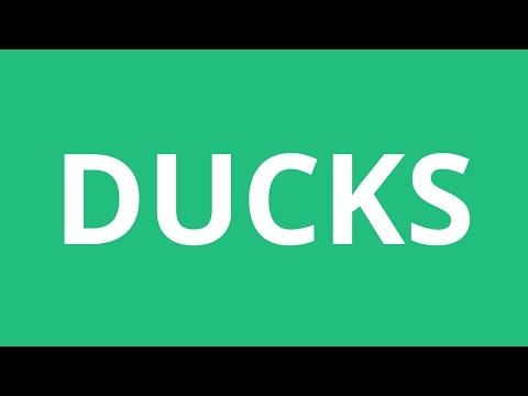 How To Pronounce Ducks - Pronunciation Academy