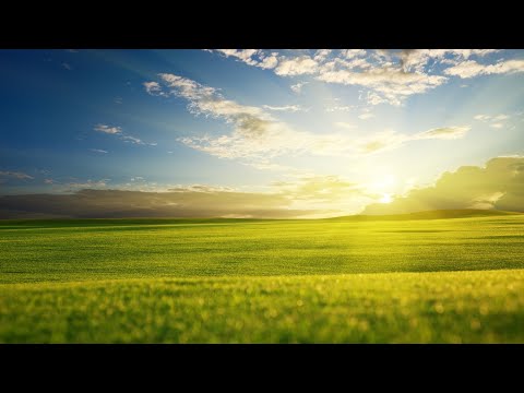 Session #6 (Trance 2000)