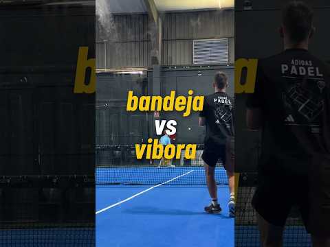 bandeja VS víbora 🐍