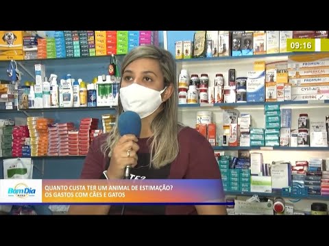 Quanto custam os gastos de ter um caÌƒo ou gato de estimacão? 28 09 2021