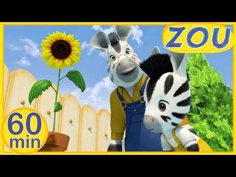 Zou in English 🌻 ZOU DISCOVERS NATURE 🌿 60 min COMPILATION | Cartoons