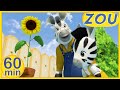 Zou In English ZOU DISCOVERS NATURE 60 Min COMPILATION Cartoons