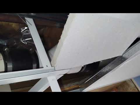 Hornets in the Drop Ceiling of the Basement in Warren, NJ