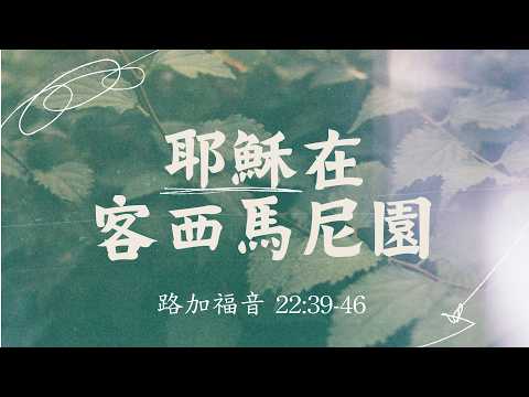 United Evangelical Church of the Philippines [UECP]