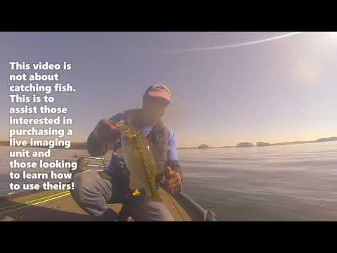 Humminbird Mega Live (On the water!)