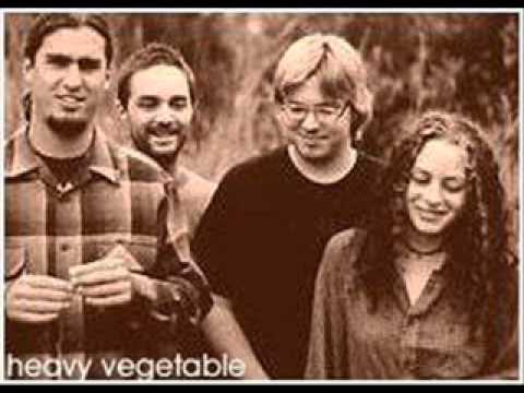 Heavy Vegetable - Doesn't Mean Shit
