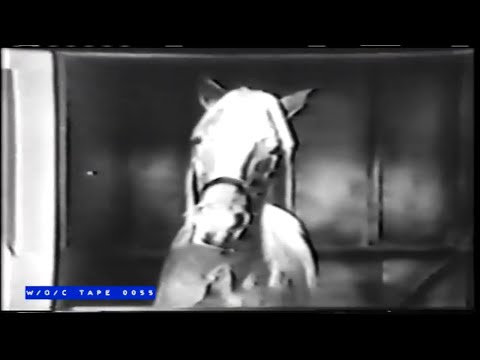 WOC Tape 0055 Commercial Compilation "Mr  Ed" - 1960s