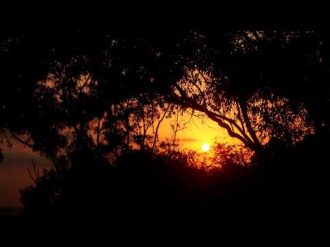 Mike Dunn pres. The MD X-Spress - Feel The Muzik (Mike Dunn's BlackBall Mixx)