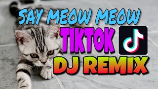Download lagu SAY MEOW MEOW TIKTOK DJ REMIX |LS BACKGROUND MUSIC [No Copyright Music] mp3