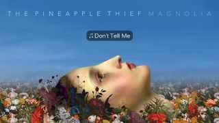 The Pineapple Thief - Don't Tell Me