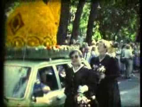 Blumenkorso in Ranshofen - Best Quality