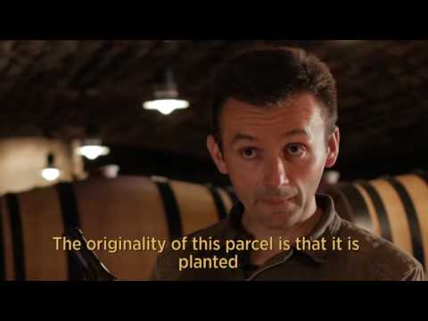 Domaine de la Vougeraie - Vougeot "Clos du Prieuré" Blanc MONOPOLE