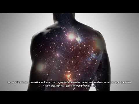 Nutrilite New Advanced Double X