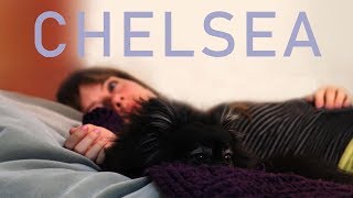 CHELSEA (Love Movie, HD, Romance Film, English, Comedy, Free Film, Drama) full length movie