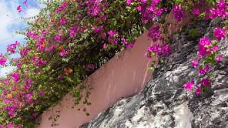 10,000 Maniacs - Candy Everybody Wants (with Lyrics)