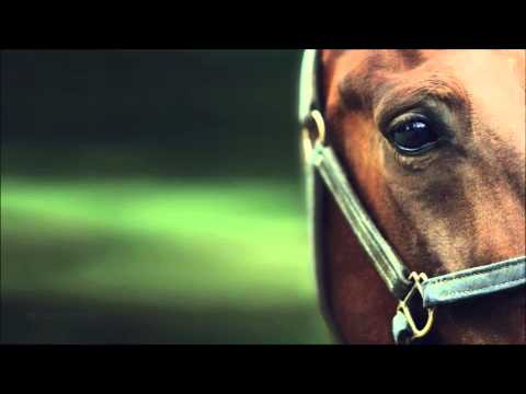 Susanna Memetova - Atım ölse