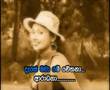 Aanila Nethusala