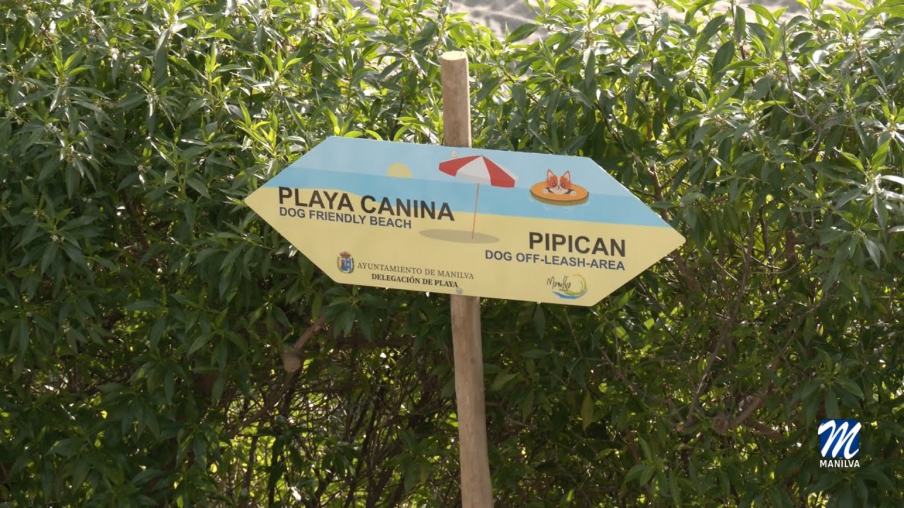 La playa canina podría inaugurarse en Semana Santa