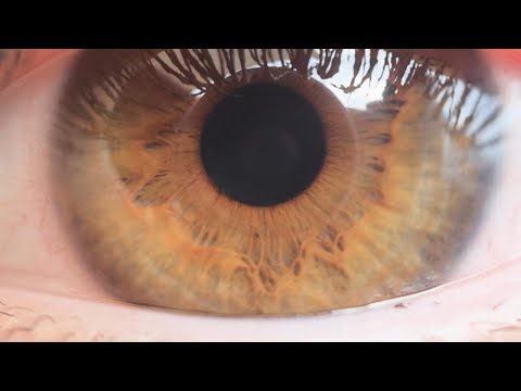 Cinema Series Ống Kính Từ Tính Cinematic Iphone - Ống Kính Di Động Cấp Điện Ảnh Đầu Tiên Cho iPhone