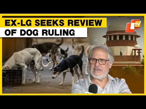SC’s Stray Dog Order Taken in Haste, Should Be Reviewed: Najeeb Jung