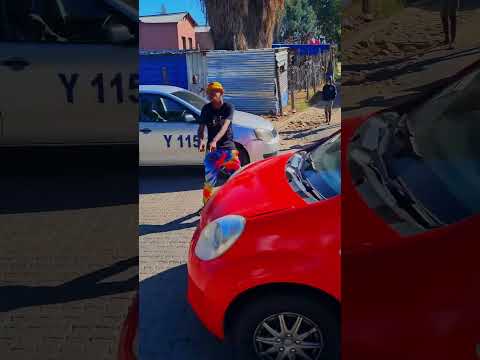 Dance and Kick the car die laste hond