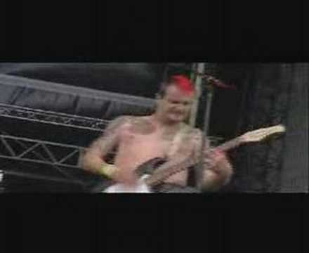 A.O.K. - Live - WFF 2004 - Brombeerhagel