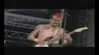 A.O.K. - Live - WFF 2004 - Brombeerhagel