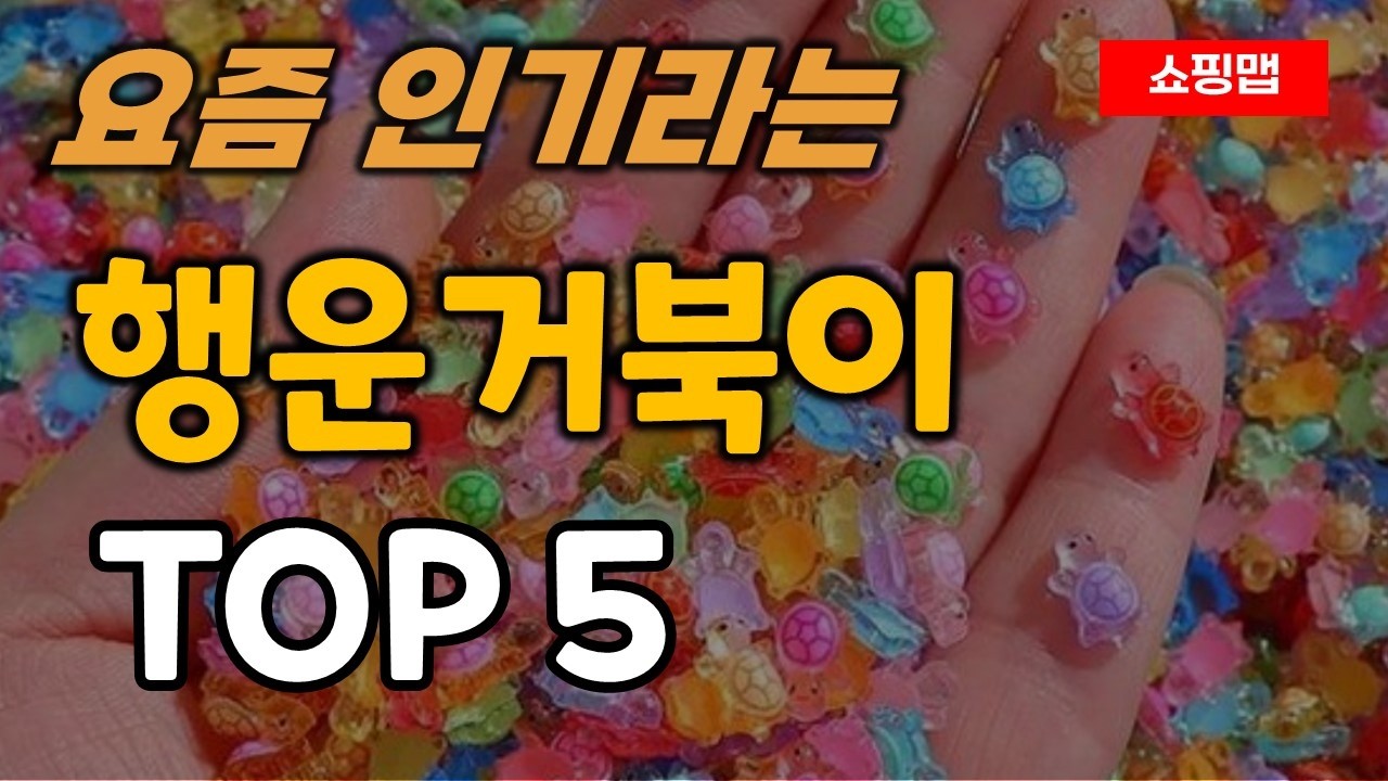 행운거북이 추천 순위 TOP5