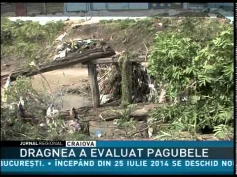 DRAGNEA A EVALUAT PAGUBELE