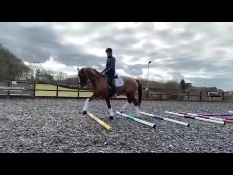 Poles for straightness and rhythm