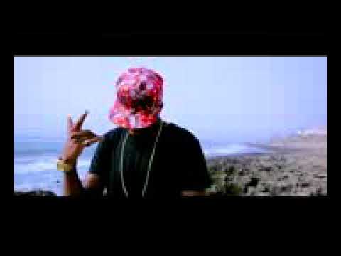 Dispas sito بلعربي