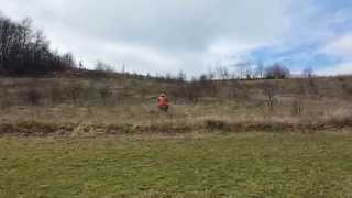 preview picture of video 'Moto Cross Fojnica'