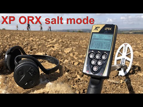 Тест-обзор прибора XP ORX в режиме соль.   saltmode . Тест с компакт диском.