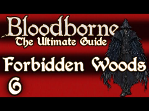 BLOODBORNE : THE ULTIMATE GUIDE 100% - PART 6 - FORBIDDEN WOODS + SHADOW OF YHARNAM