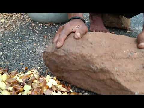 oil extraction from fruits of Mahua