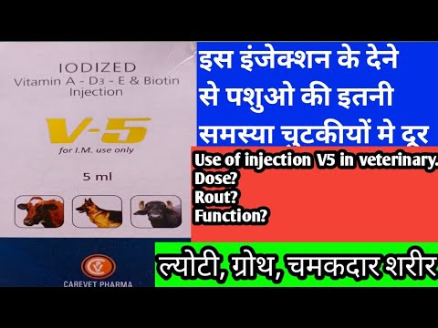 Inj #V-5 iodized vitamins A, D3,E& Biotin, V5 का उपयोग कौन सी बीमारी मे करे और कितना dose दे?