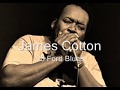 James Cotton-V8 Ford Blues