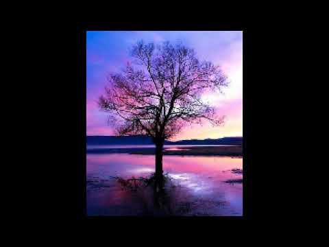 PontekDRU - Przepraszam ft. Danek WS