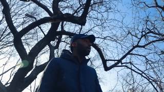 Parisian Tone - Wanna Fly (Dir. by Okay Motion)