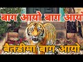 Baitadi Ma Bag Aayo Re बैतडिमा बाग आयो रे Haau Bag Re Sudur Pachhim De