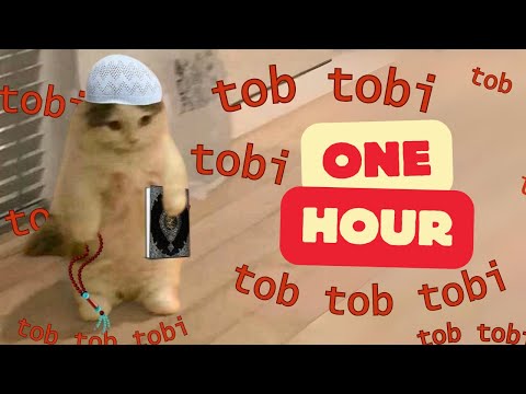tob tobi tob tob tobi tob 📿 [ 1 Hour ]