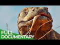 Wild Indonesia Episode 3 Land Of Dragons Free Documentary Nature