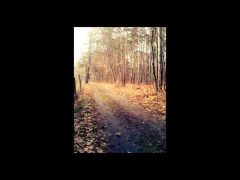 Photograph  Chris Bussey