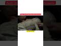 Hayley Atwell Most Memorable Performances Shorts Ytshorts