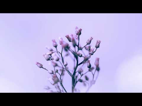 Nico de Andrea x Eli & Fur - Start The Fire