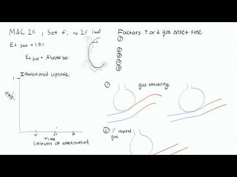 Inhalational Agents 2 - FA over Fi, Inhalational Uptake
