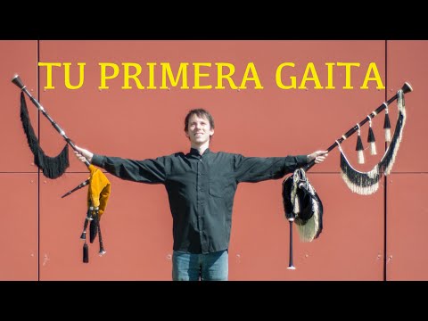 ✅ La mejor GAITA que puedes COMPRAR para COMENZAR