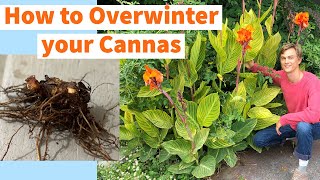CANNA LILY Overwintering - How to Store Bulbs (Rhizomes) over Winter