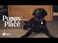 Puppy Place —Shadow the Black Lab | Apple TV+
