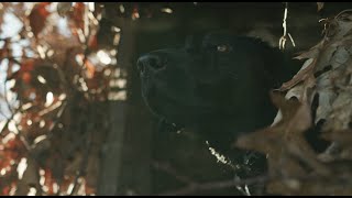 LaCrosse Footwear MORE THAN A DOG I Teaser